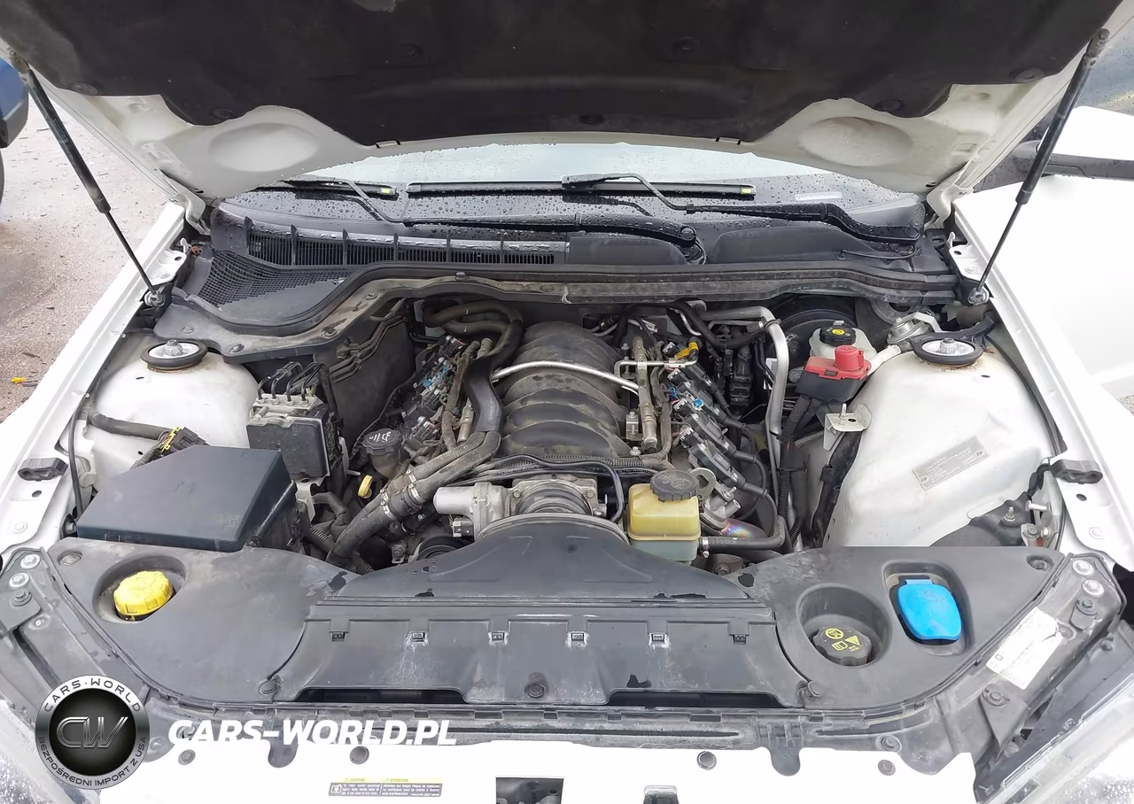 2009 Pontiac G8 Gt VIN:6G2EC57Y19L193252 - 10