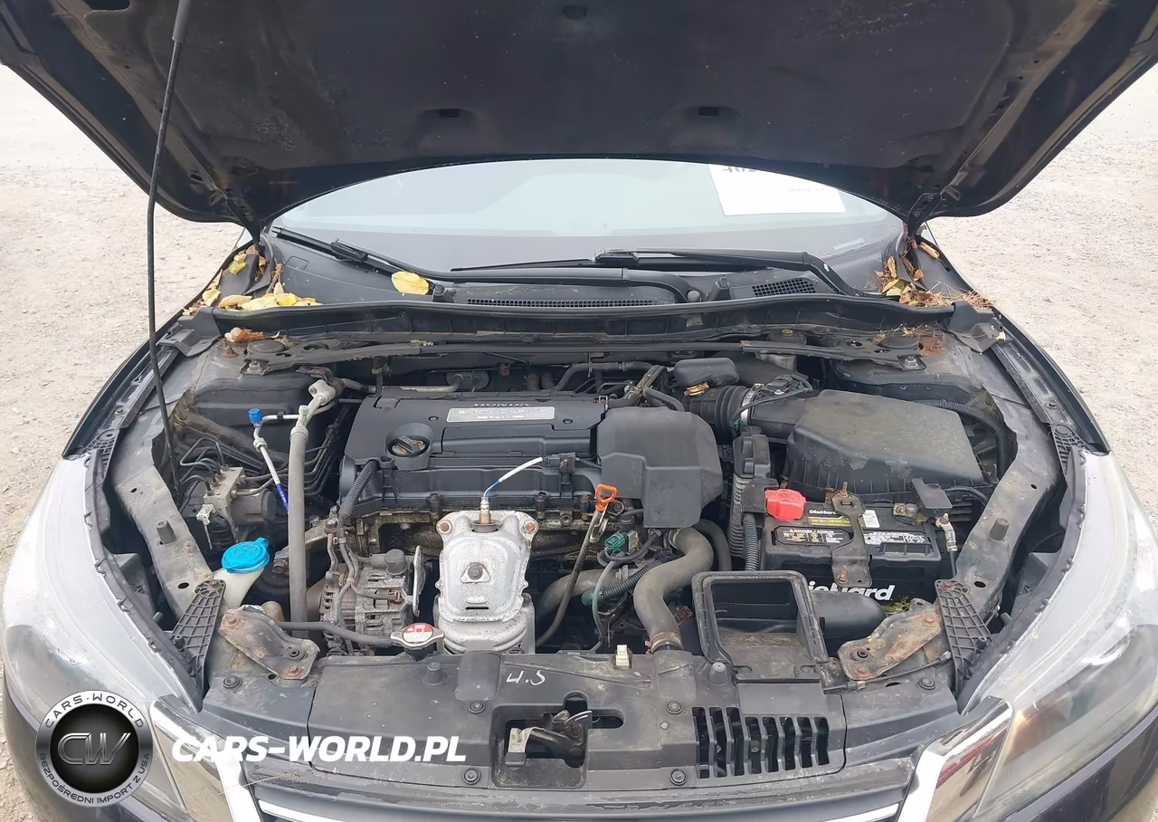 2013 Honda Accord Ex VIN:1HGCR2F76DA061891 - 10