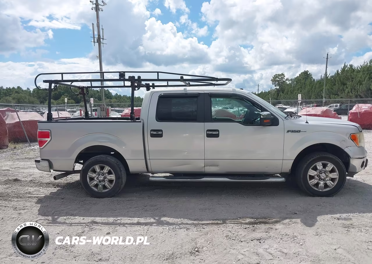2010 Ford F-150 Fx2 Sport-Harley-Davidson-King Ranch-Lariat-Platinum-Xl-Xlt VIN:1FTFW1CV0AFA65435 - 13