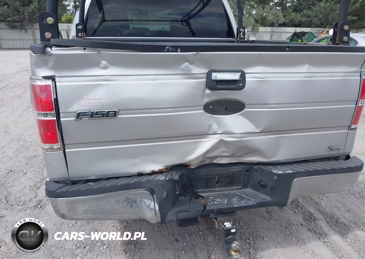 2010 Ford F-150 Fx2 Sport-Harley-Davidson-King Ranch-Lariat-Platinum-Xl-Xlt VIN:1FTFW1CV0AFA65435 - 6