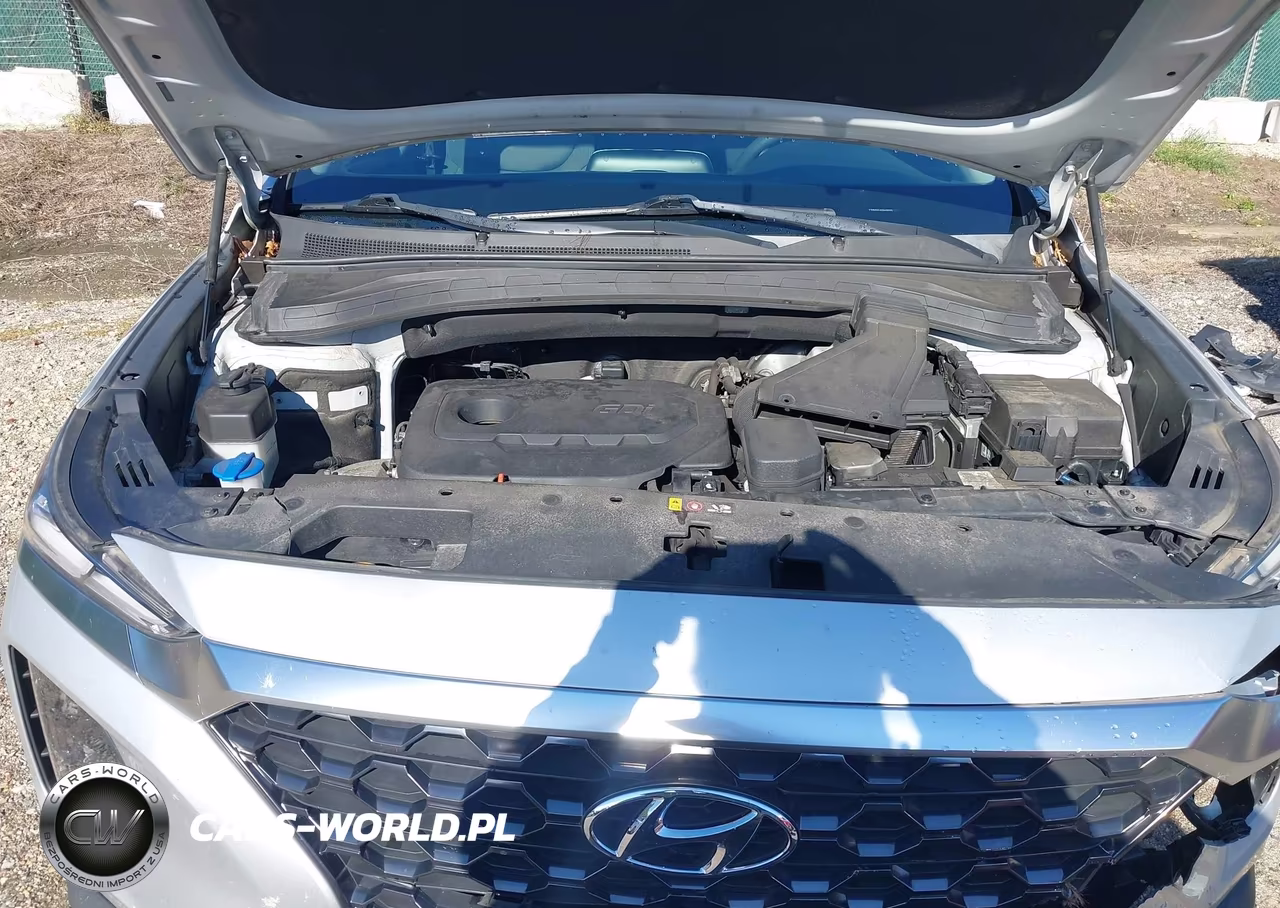 2019 Hyundai Santa Fe Se VIN:5NMS2CAD5KH012413 - 10