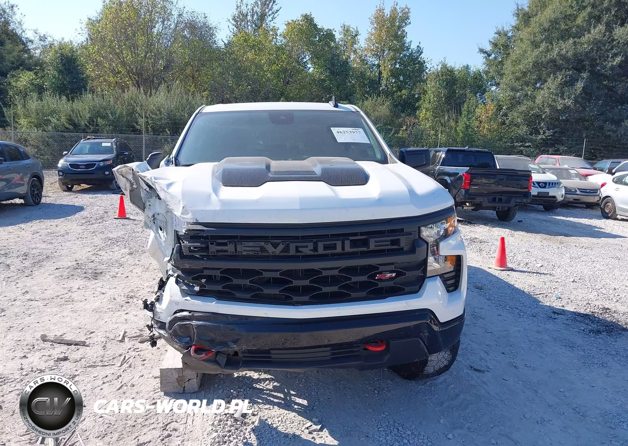 2024 Chevrolet Silverado 1500 VIN:3GCUDCED4RG336374 - 12