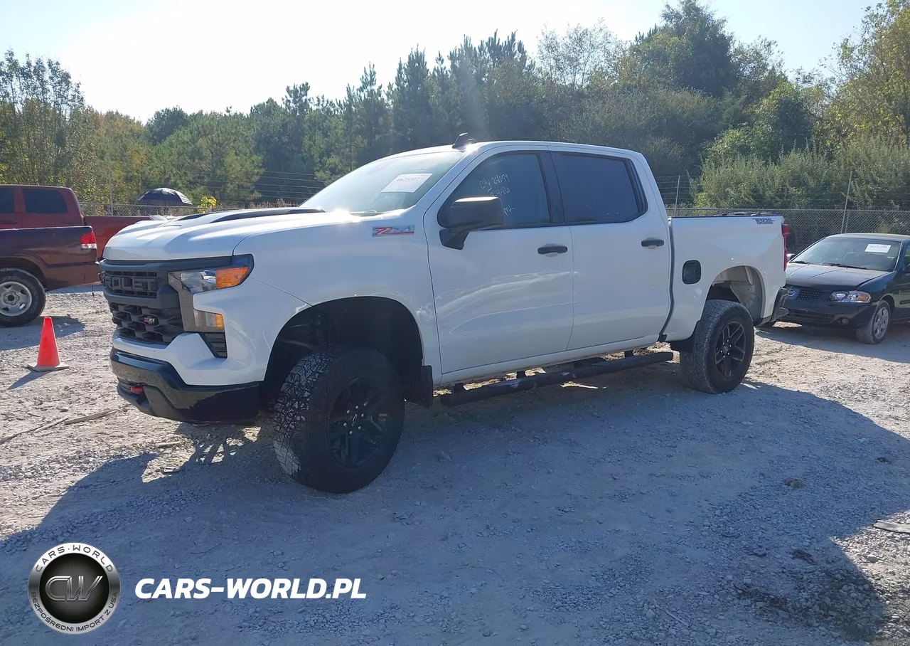 2024 Chevrolet Silverado 1500 VIN:3GCUDCED4RG336374 - 2