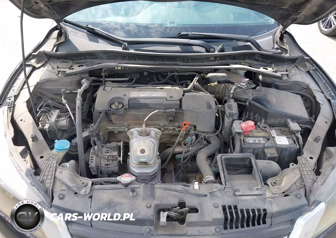 2014 Honda Accord Ex-L VIN:1HGCR2F82EA000287 - 10