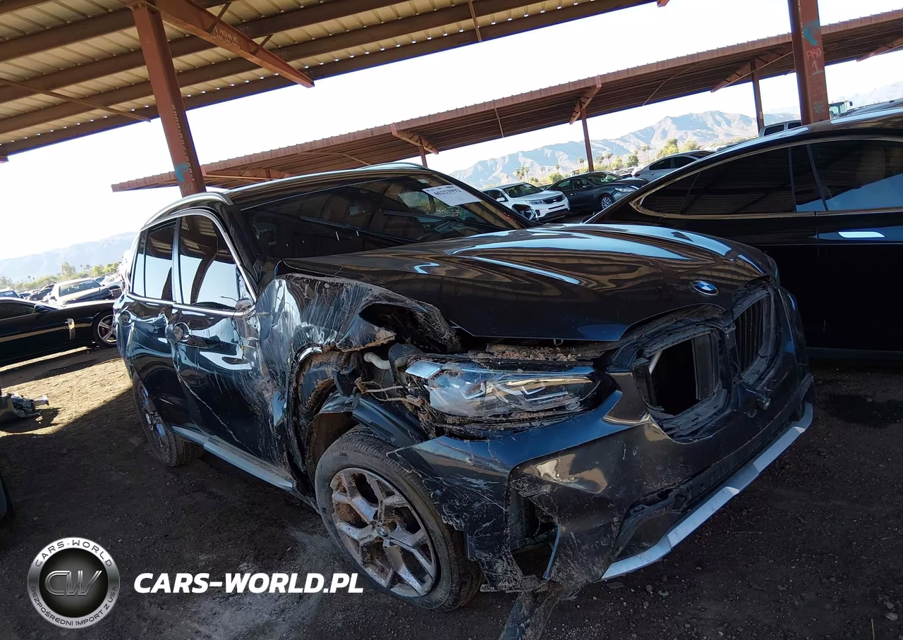 2023 BMW X3 xDrive30I VIN:5UX53DP03P9P36056 - 6