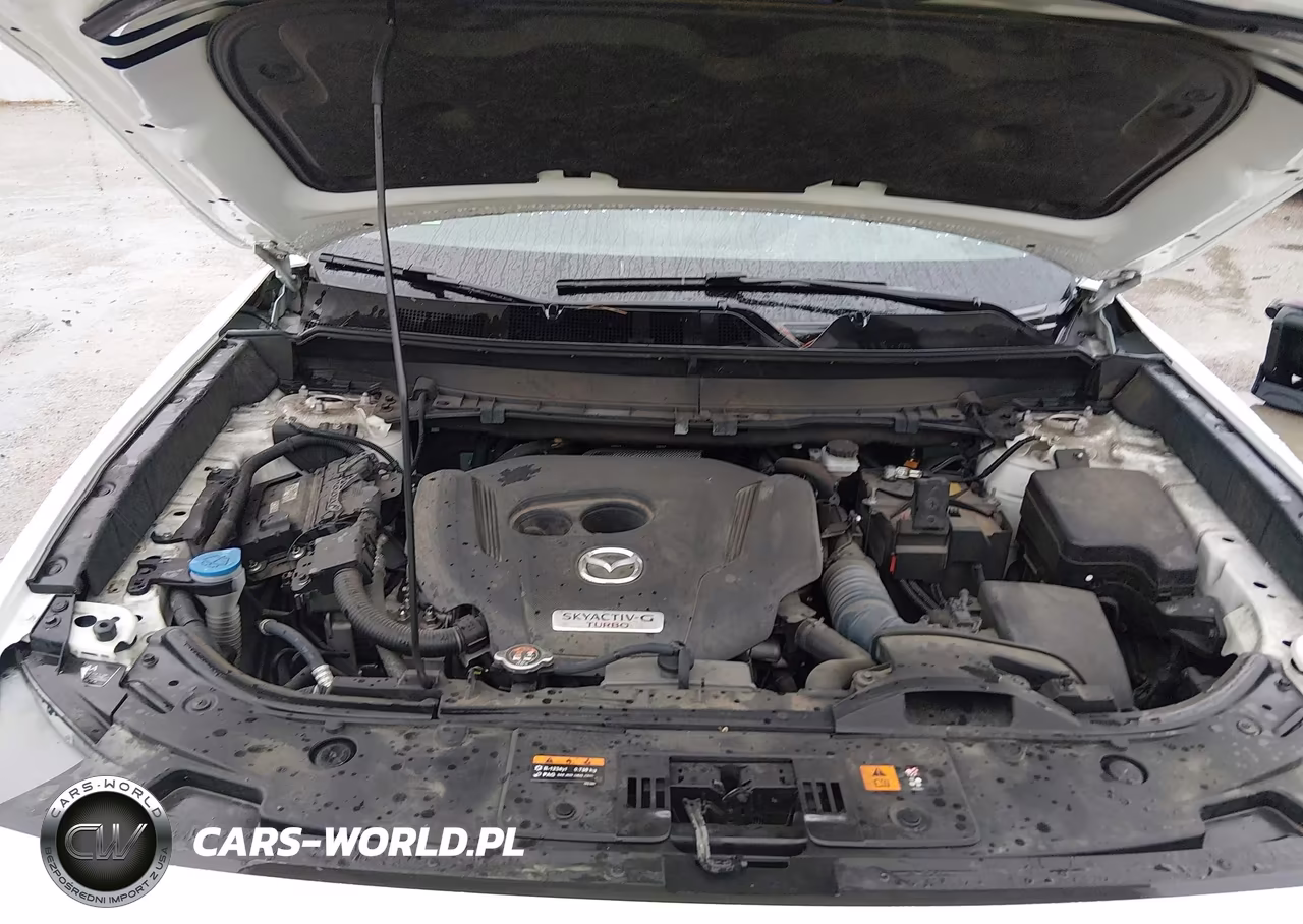 2023 Mazda Cx-9 Grand Touring VIN:JM3TCBDY2P0638364 - 10