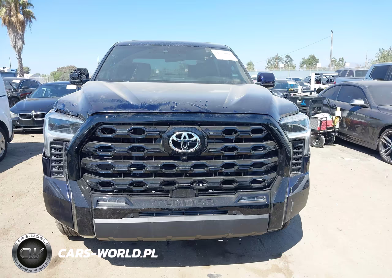 2025 Toyota Tundra Platinum Hv VIN:5TFNC5DB5SX100689 - 12