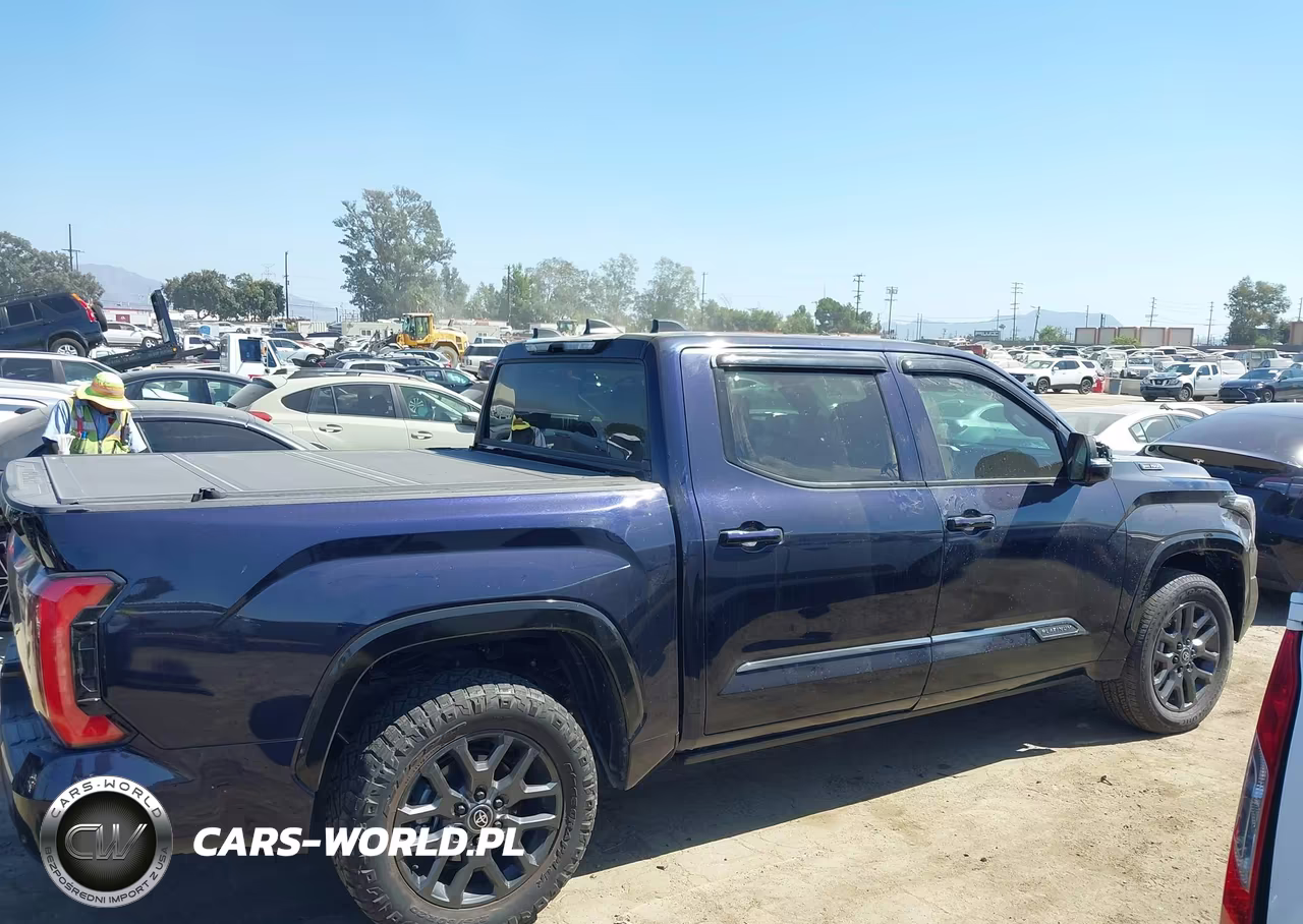 2025 Toyota Tundra Platinum Hv VIN:5TFNC5DB5SX100689 - 13