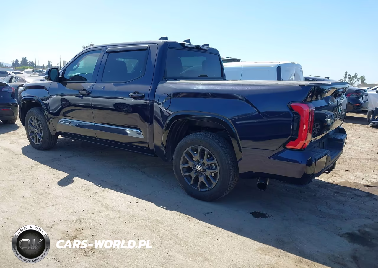 2025 Toyota Tundra Platinum Hv VIN:5TFNC5DB5SX100689 - 3