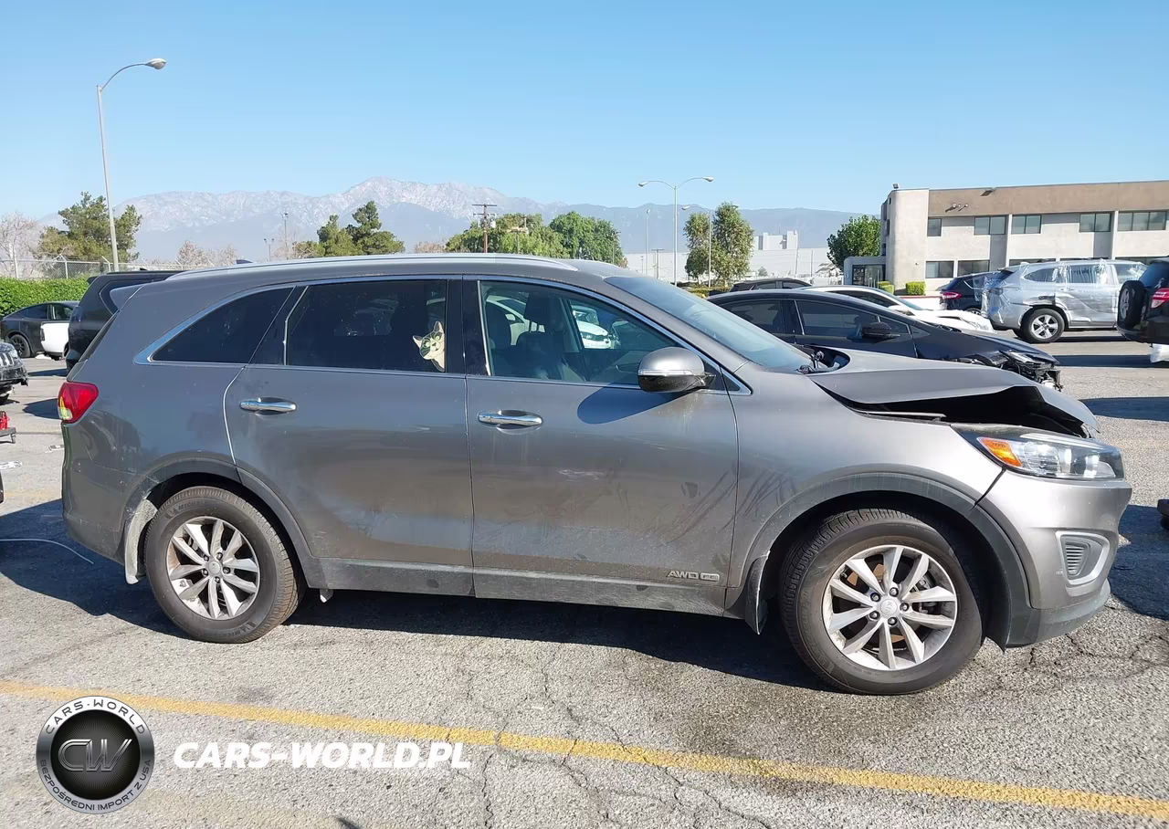 2017 Kia Sorento 3.3L Lx VIN:5XYPGDA55HG232661 - 13