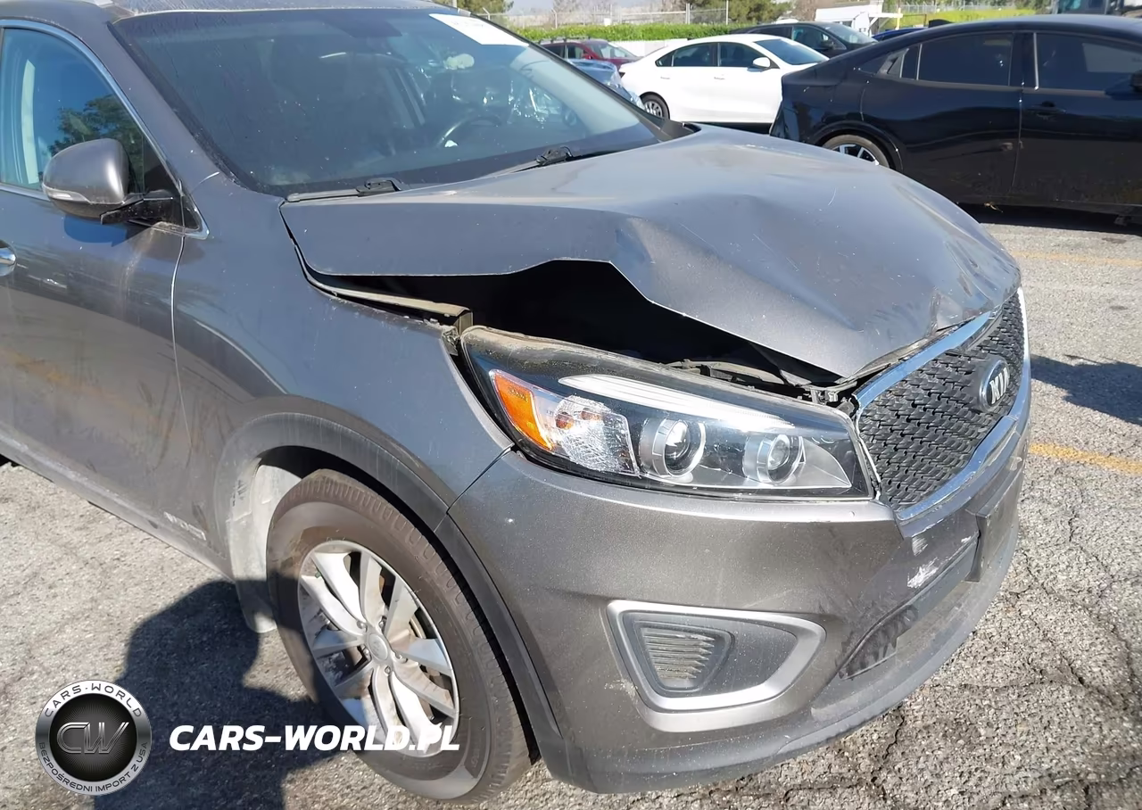 2017 Kia Sorento 3.3L Lx VIN:5XYPGDA55HG232661 - 17