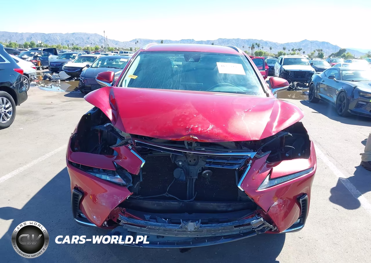 2020 Lexus Nx 300 VIN:JTJAARBZ0L5000487 - 13