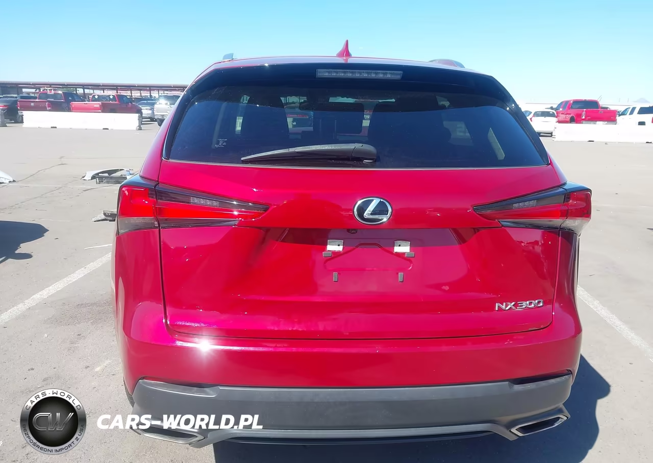 2020 Lexus Nx 300 VIN:JTJAARBZ0L5000487 - 17