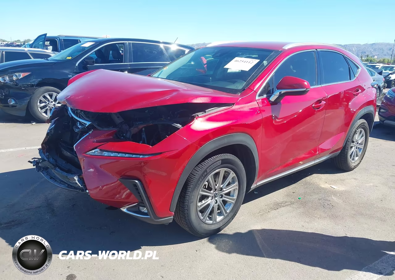 2020 Lexus Nx 300 VIN:JTJAARBZ0L5000487 - 2
