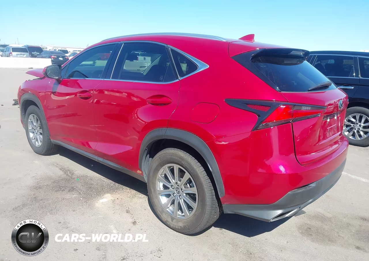 2020 Lexus Nx 300 VIN:JTJAARBZ0L5000487 - 3