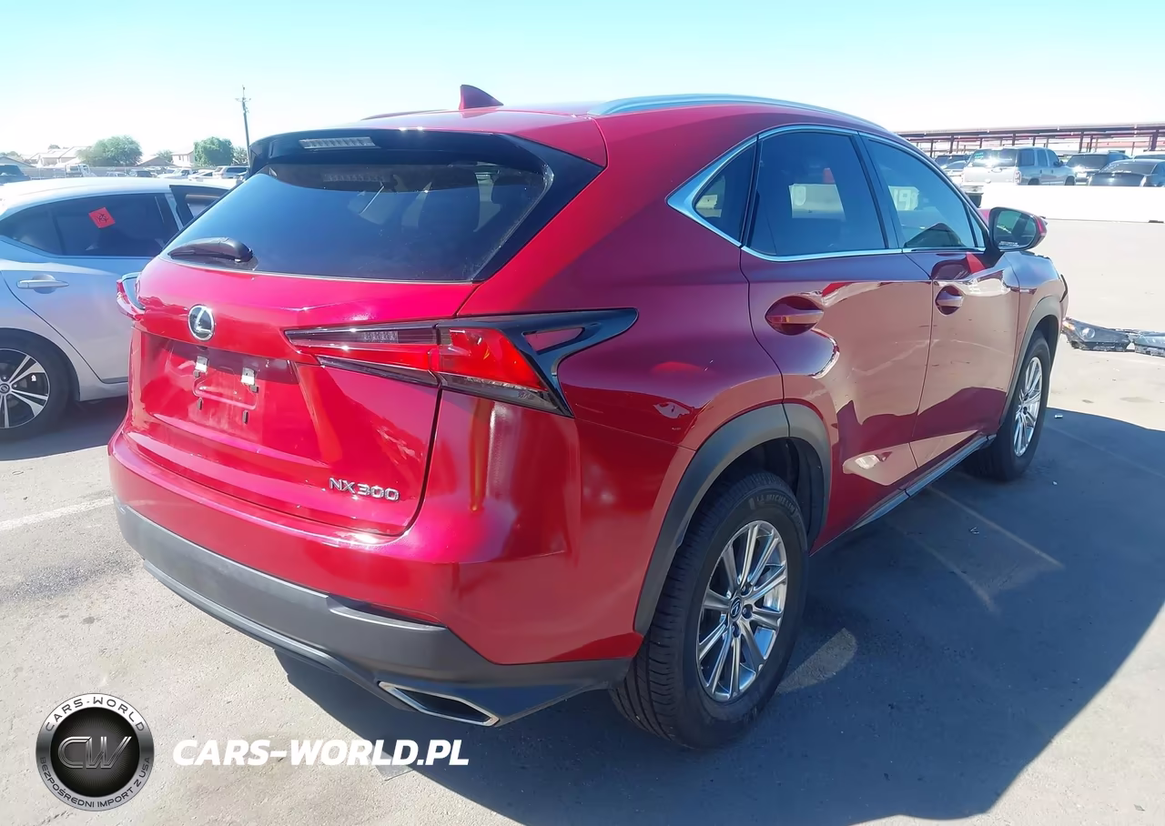 2020 Lexus Nx 300 VIN:JTJAARBZ0L5000487 - 4