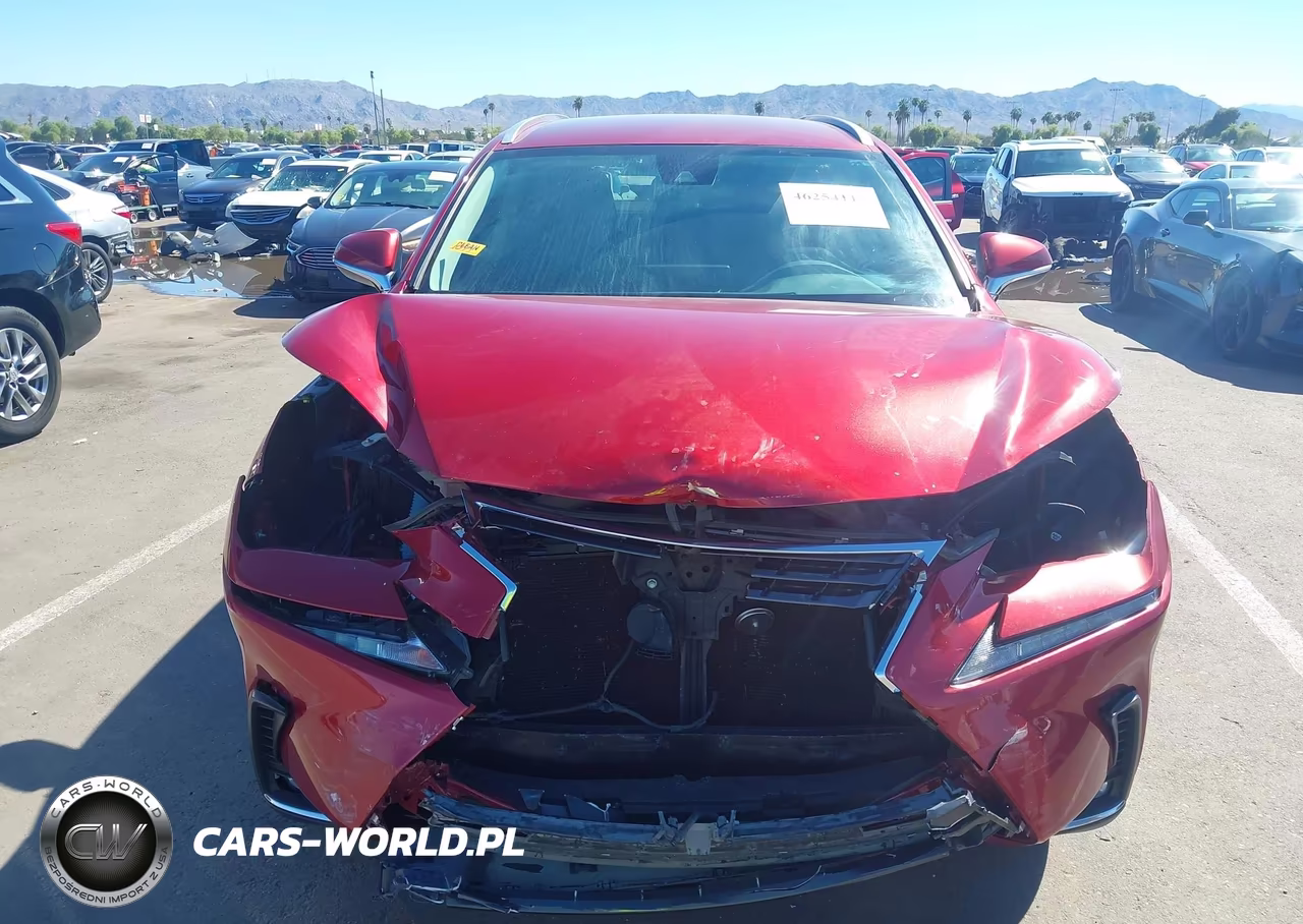2020 Lexus Nx 300 VIN:JTJAARBZ0L5000487 - 6