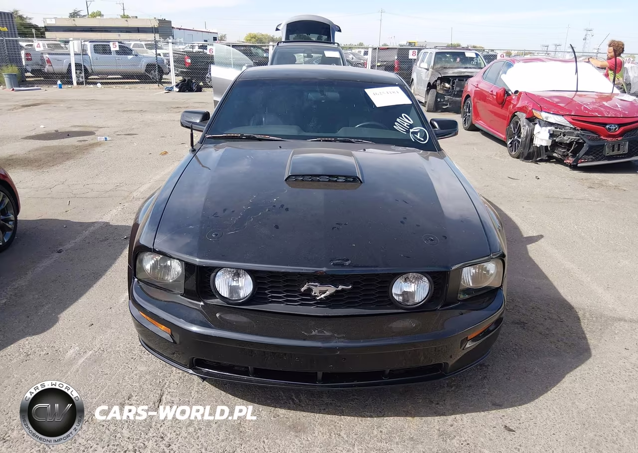 2005 Ford Mustang Gt Deluxe-Gt Premium VIN:1ZVFT82H755165814 - 12