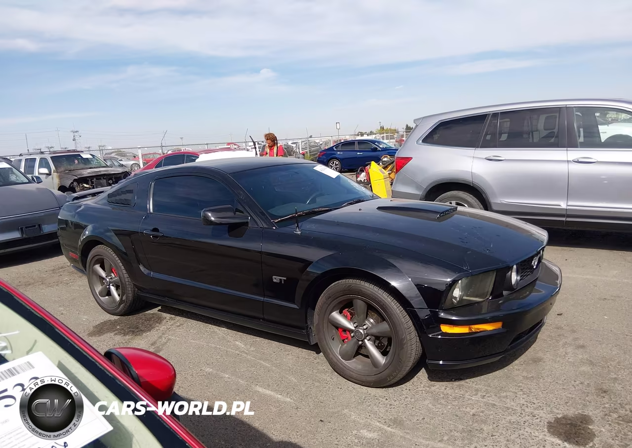 2005 Ford Mustang Gt Deluxe-Gt Premium VIN:1ZVFT82H755165814 - 13