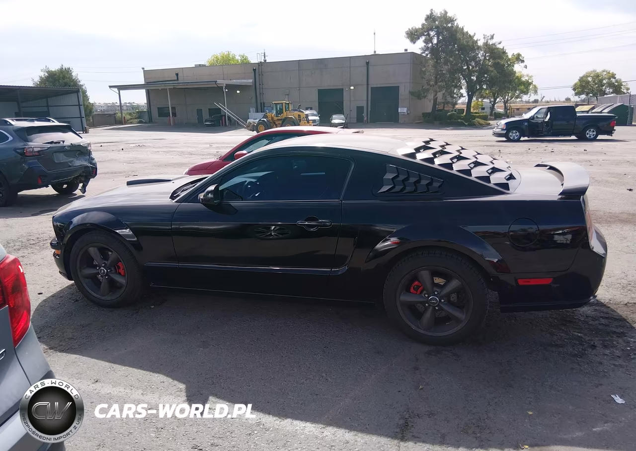 2005 Ford Mustang Gt Deluxe-Gt Premium VIN:1ZVFT82H755165814 - 14
