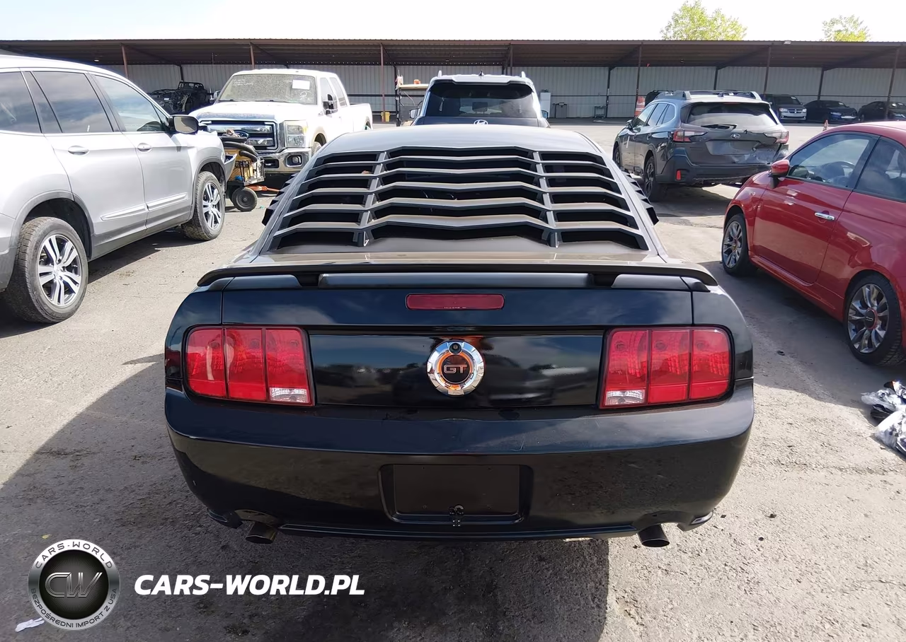 2005 Ford Mustang Gt Deluxe-Gt Premium VIN:1ZVFT82H755165814 - 16