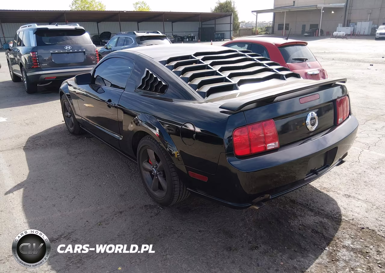 2005 Ford Mustang Gt Deluxe-Gt Premium VIN:1ZVFT82H755165814 - 3