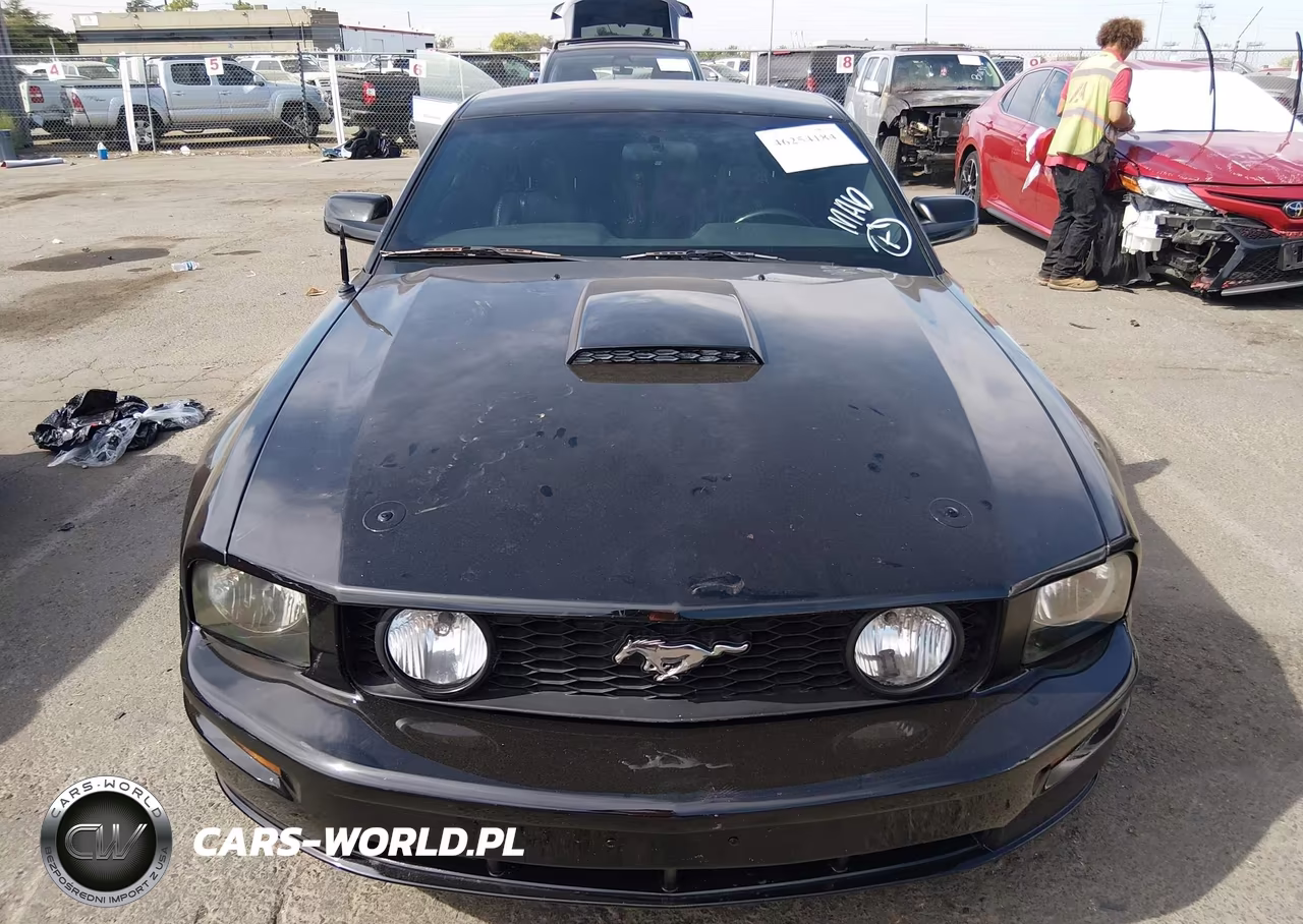 2005 Ford Mustang Gt Deluxe-Gt Premium VIN:1ZVFT82H755165814 - 6