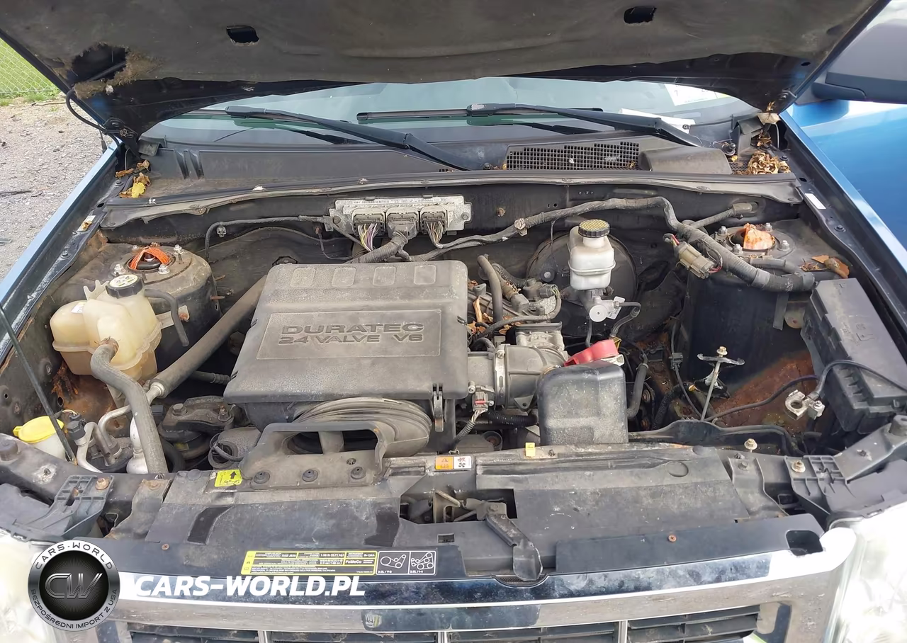 2009 Ford Escape Xlt VIN:1FMCU93G89KC34379 - 10