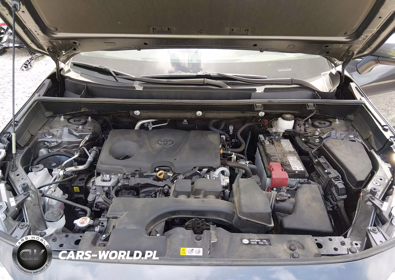 2024 Toyota Rav4 Xle VIN:2T3W1RFV8RC260199 - 10