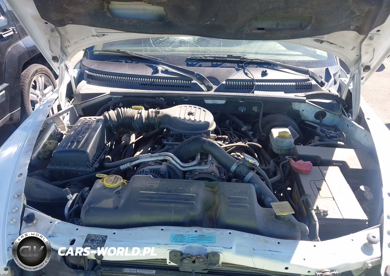 2001 Dodge Durango Slt VIN:1B4HS28Z01F525518 - 10