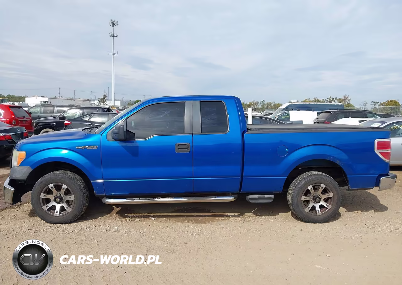 2010 Ford F-150 Xl VIN:1FTEX1CW6AFB53682 - 14