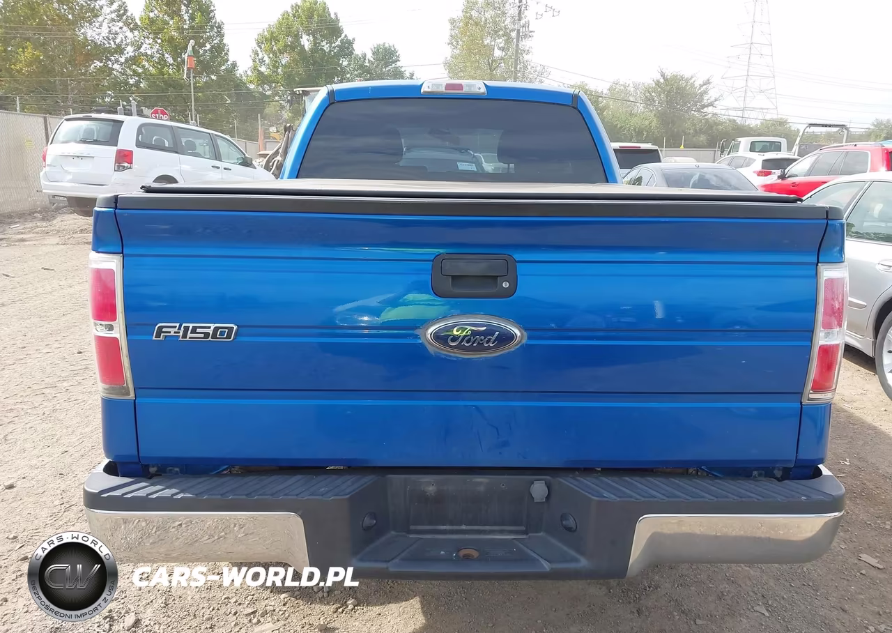 2010 Ford F-150 Xl VIN:1FTEX1CW6AFB53682 - 16