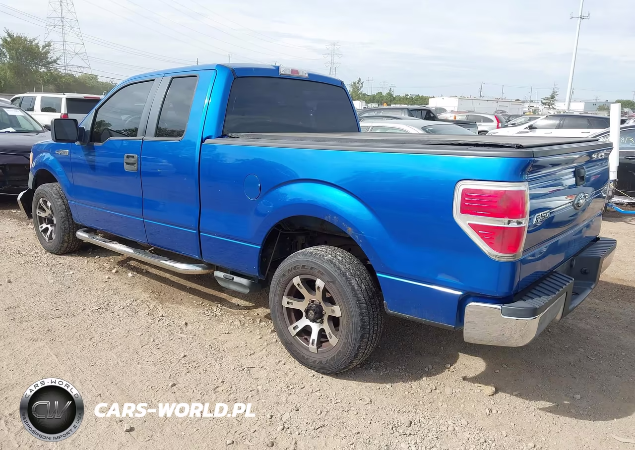 2010 Ford F-150 Xl VIN:1FTEX1CW6AFB53682 - 3