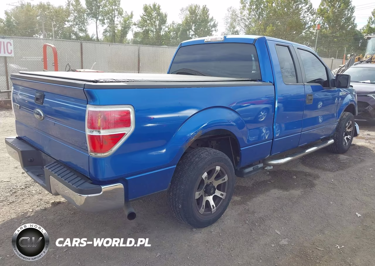 2010 Ford F-150 Xl VIN:1FTEX1CW6AFB53682 - 4
