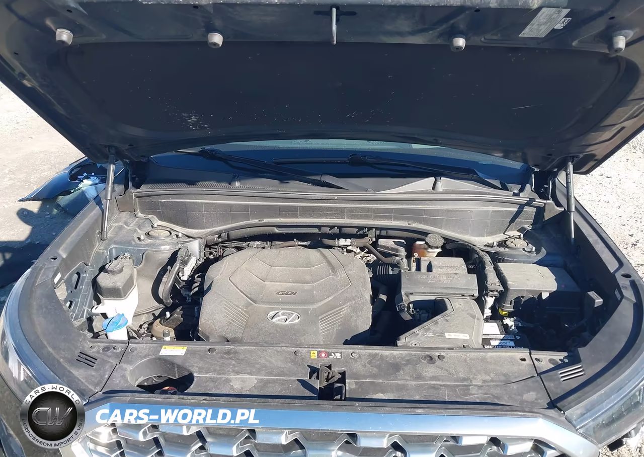 2021 Hyundai Palisade Limited VIN:KM8R5DHE4MU185941 - 10