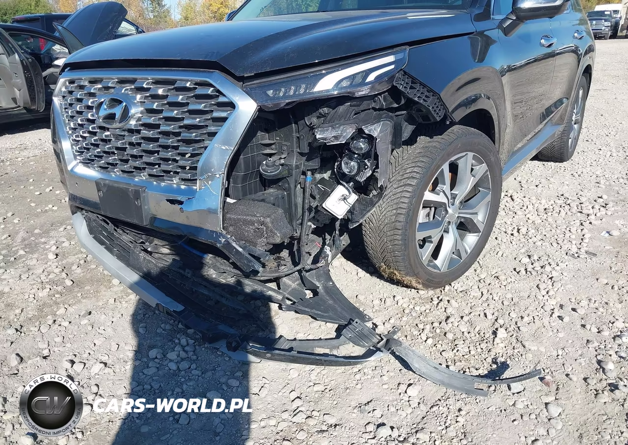 2021 Hyundai Palisade Limited VIN:KM8R5DHE4MU185941 - 6