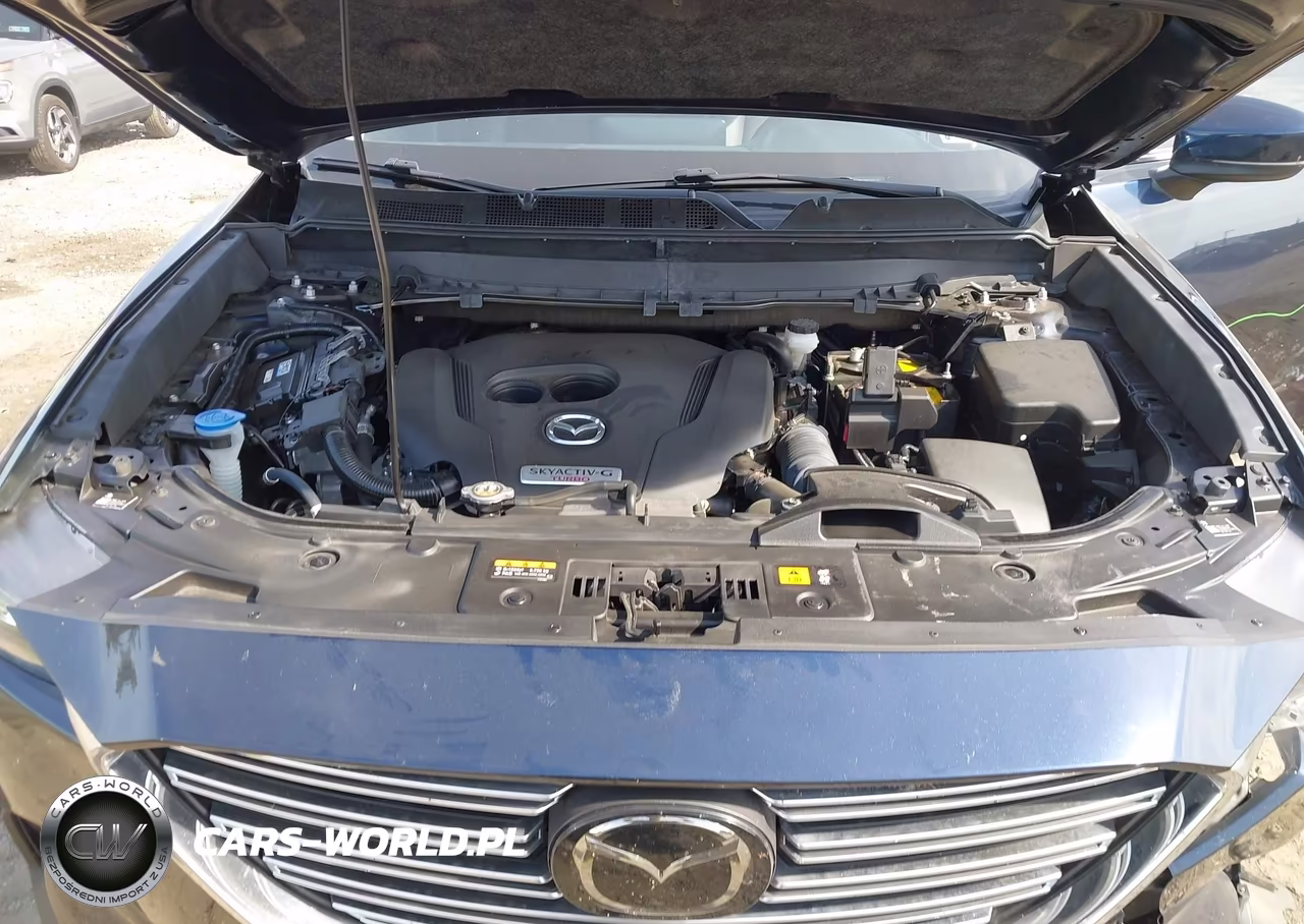 2023 Mazda Cx-9 Touring VIN:JM3TCBCY5P0655287 - 10