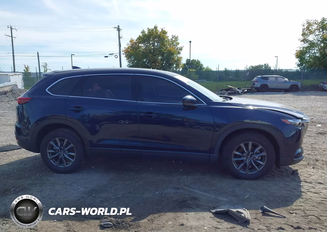 2023 Mazda Cx-9 Touring VIN:JM3TCBCY5P0655287 - 13