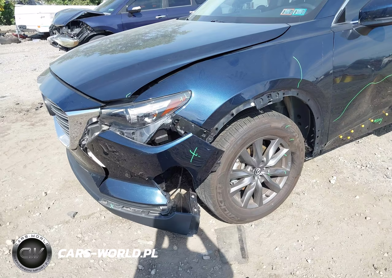 2023 Mazda Cx-9 Touring VIN:JM3TCBCY5P0655287 - 17