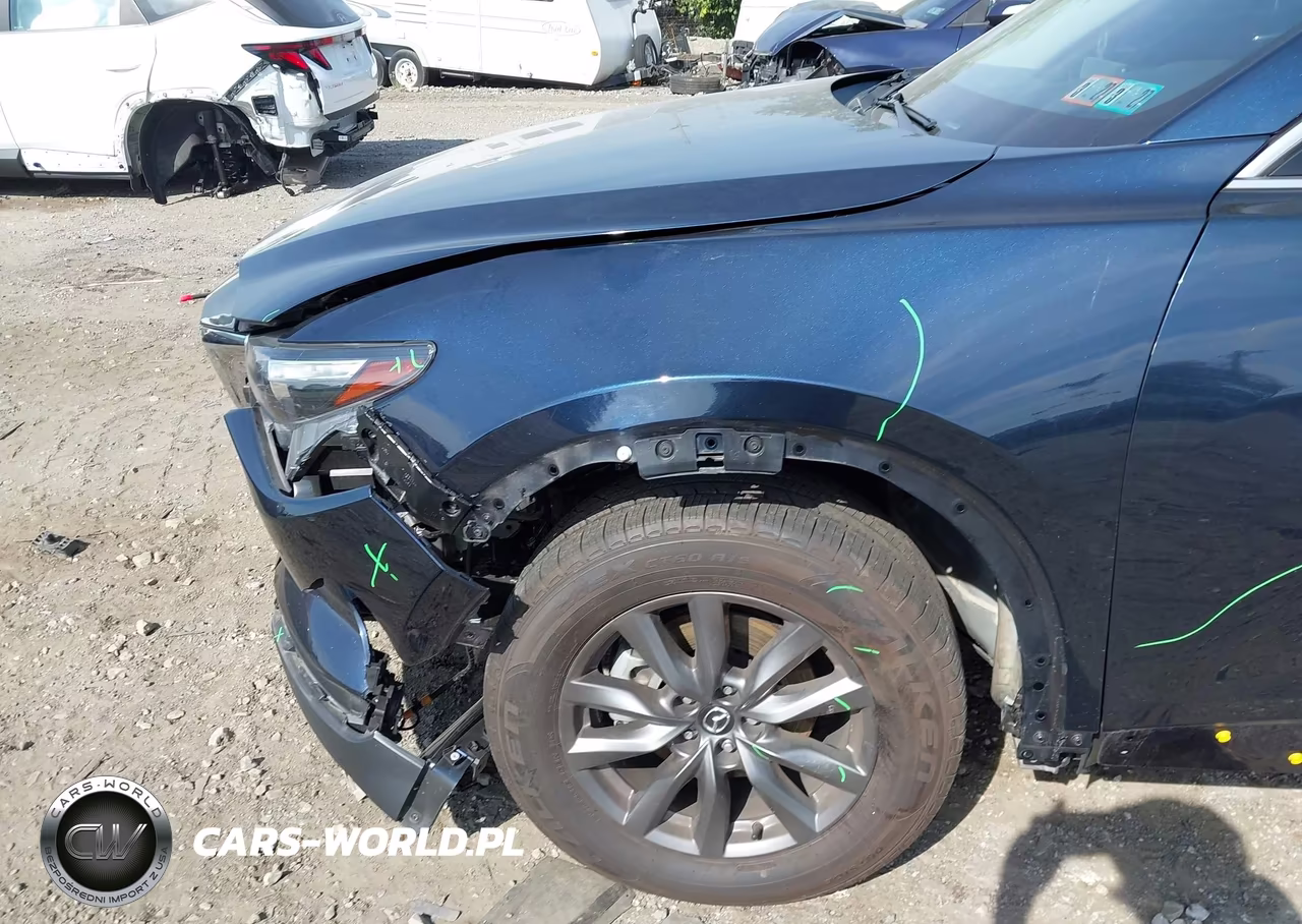 2023 Mazda Cx-9 Touring VIN:JM3TCBCY5P0655287 - 6