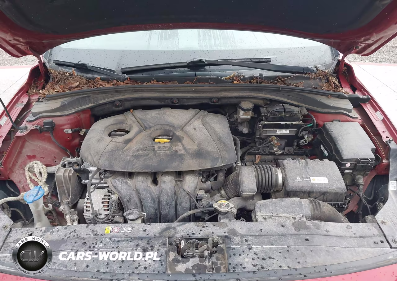 2018 Hyundai Elantra Gt VIN:KMHH35LE3JU012647 - 10