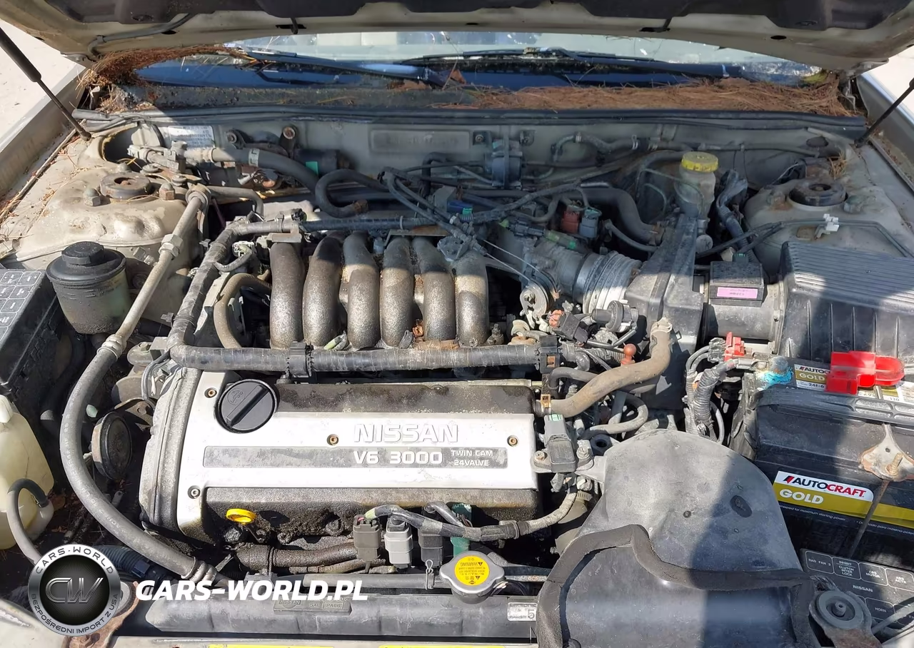 1999 Nissan Maxima Gle-Gxe-Se-Se-L VIN:JN1CA21DXXT804776 - 10