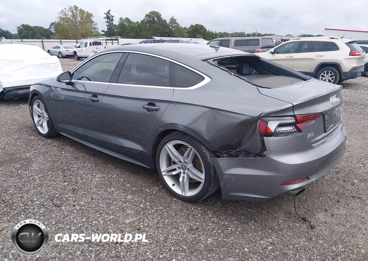 2019 Audi A5 45 Premium VIN:WAUENCF58KA075955 - 3
