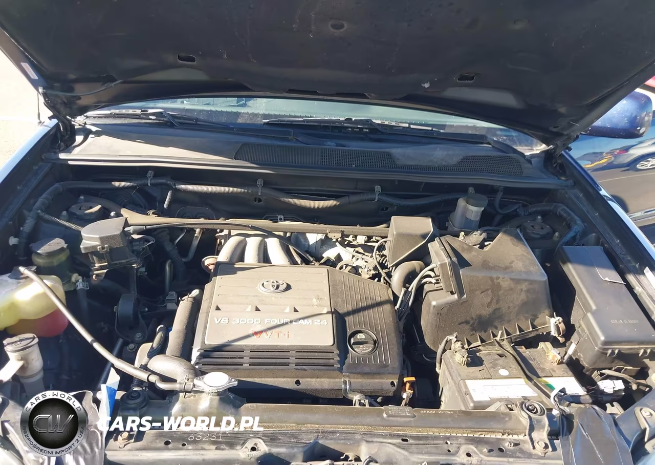 2002 Toyota Highlander V6 VIN:JTEHF21A420084665 - 10