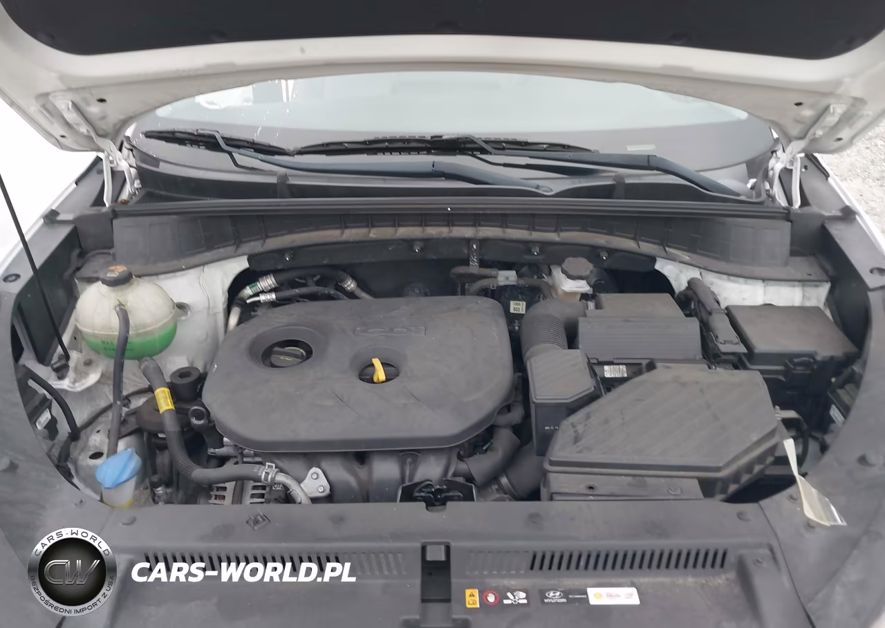 2019 Hyundai Tucson Se VIN:KM8J2CA40KU930554 - 10