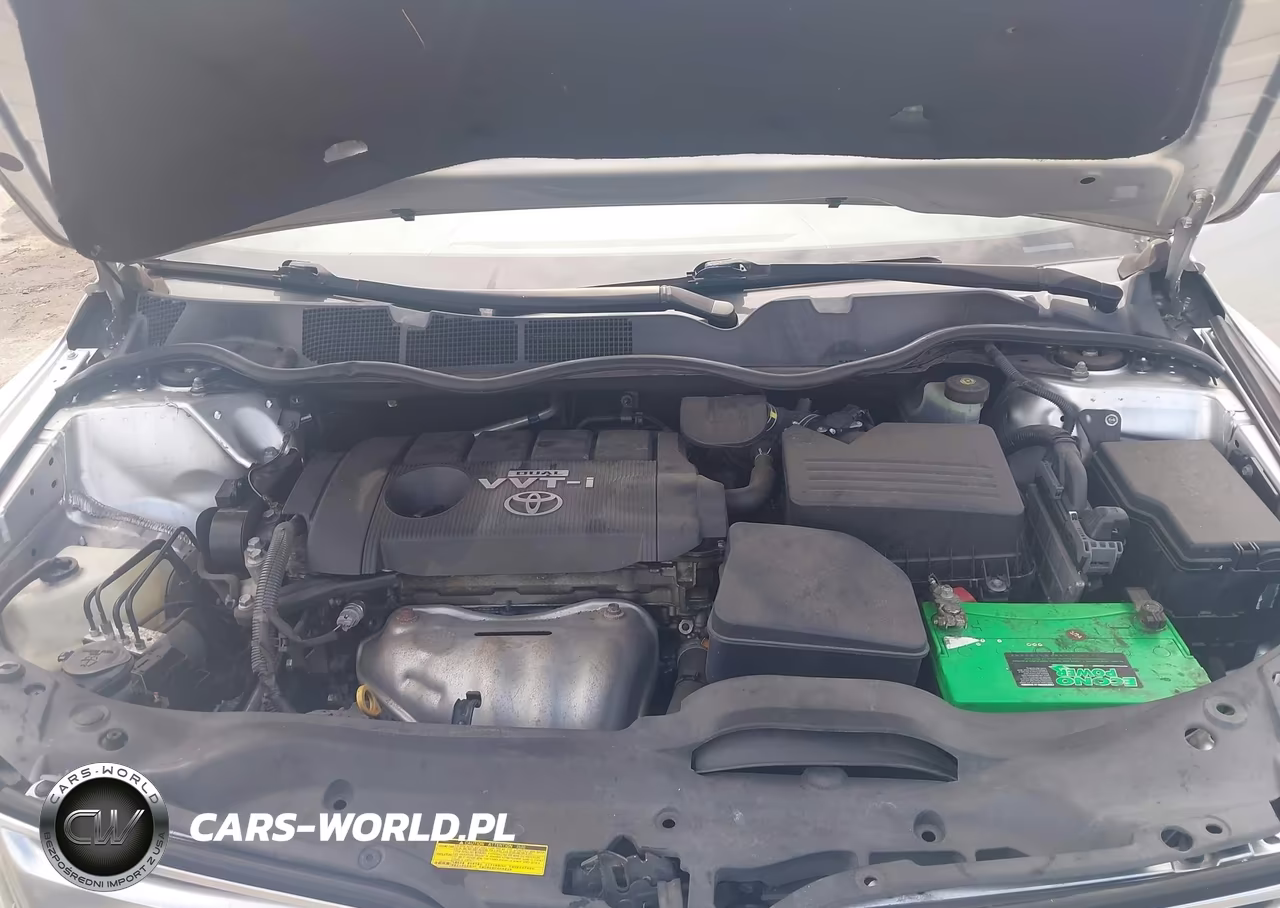 2009 Toyota Venza VIN:4T3ZE11A59U008013 - 10