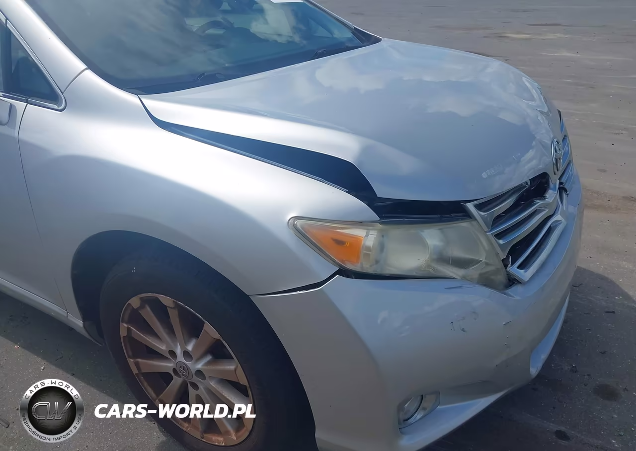 2009 Toyota Venza VIN:4T3ZE11A59U008013 - 12