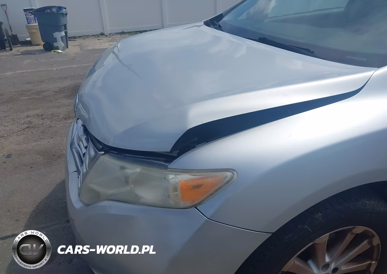 2009 Toyota Venza VIN:4T3ZE11A59U008013 - 13