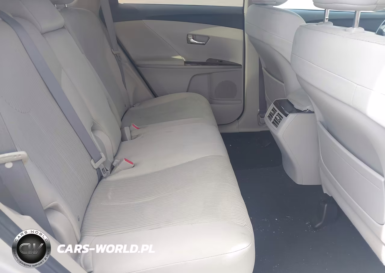 2009 Toyota Venza VIN:4T3ZE11A59U008013 - 8