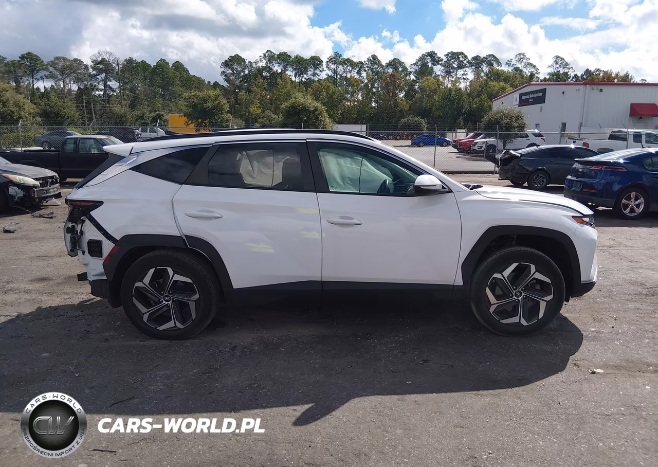 2023 Hyundai Tucson Sel VIN:5NMJF3AE4PH242332 - 12